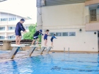 โครงการส่งเสริมความถนัด ความสนใจ และความสามารถพิเศษ ภาคฤดูร้ ... Image 1094