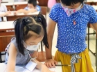 โครงการส่งเสริมความถนัด ความสนใจ และความสามารถพิเศษ ภาคฤดูร้ ... Image 249
