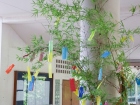 เทศกาลทานาบาตะ (Tanabata) 2022 Image 15