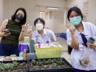 การจำหน่ายอาหาร และช้อนไข่ลุ้นโชค ก่อนงานประจำปี2565 Image 106