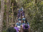 KUSMP Multiskills Camp #9 : Journey to the Jungle Image 128