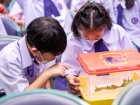 โครงการหนอนไหม ครั้งที่ 13 ประจำปีการศึกษา 2566 Image 133