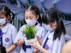 โครงการหนอนไหม ครั้งที่ 13 ประจำปีการศึกษา 2566 Image 187