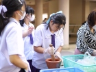 กิจกรรมเนื่องในวันภาษาไทยแห่งชาติ ปีการศึกษา 2566 “เสน่ห์ไทย ... Image 87