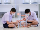โครงการทดสอบ ผลของการจัดการเรียนรู้แบบ STEAM (Science Techno ... Image 45