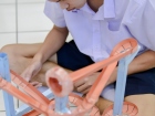 โครงการทดสอบ ผลของการจัดการเรียนรู้แบบ STEAM (Science Techno ... Image 68