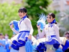 กีฬาสีสัมพันธ์ ครั้งที่ 19 (โชว์เชียร์) Image 123