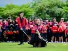 กีฬาสีสัมพันธ์ ครั้งที่ 19 (โชว์เชียร์) Image 309