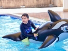 The Phonics Kids' Camp 2023 : Deep Blue Sea Image 684