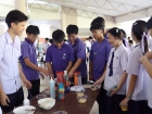 การออกร้านขายอาหาร ของนักเรียนชั้นม.5-2566 Image 78