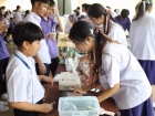 การออกร้านขายอาหาร ของนักเรียนชั้นม.5-2566 Image 96