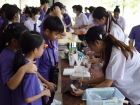 การออกร้านขายอาหาร ของนักเรียนชั้นม.5-2566 Image 101