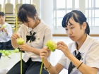ต้อนรับนักเรียนแลกเปลี่ยนจาก Fukui Prefectural Koshi High Sc ... Image 449