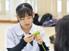ต้อนรับนักเรียนแลกเปลี่ยนจาก Fukui Prefectural Koshi High Sc ... Image 454