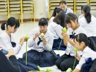 ต้อนรับนักเรียนแลกเปลี่ยนจาก Fukui Prefectural Koshi High Sc ... Image 459