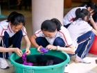 โครงการแลกเปลี่ยนภาษาและวัฒนธรรม Yucai No.7 Middle School, C ... Image 131