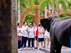 โครงการแลกเปลี่ยนภาษาและวัฒนธรรม Yucai No.7 Middle School, C ... Image 313