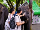 โครงการแลกเปลี่ยนภาษาและวัฒนธรรม Yucai No.7 Middle School, C ... Image 314
