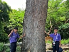 โครงการศึกษานอกสถานที่ ระดับชั้นประถมศึกษาปีที่ 4 &quot;ตะลุยดินแ ... Image 130