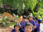 โครงการศึกษานอกสถานที่ ระดับชั้นประถมศึกษาปีที่ 4 &quot;ตะลุยดินแ ... Image 52