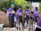 โครงการศึกษานอกสถานที่ ระดับชั้นประถมศึกษาปีที่ 4 &quot;ตะลุยดินแ ... Image 112