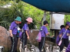 โครงการศึกษานอกสถานที่ ระดับชั้นประถมศึกษาปีที่ 4 &quot;ตะลุยดินแ ... Image 113
