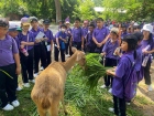 โครงการศึกษานอกสถานที่ ระดับชั้นประถมศึกษาปีที่ 4 &quot;ตะลุยดินแ ... Image 54