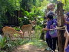 โครงการศึกษานอกสถานที่ ระดับชั้นประถมศึกษาปีที่ 4 &quot;ตะลุยดินแ ... Image 58