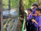 โครงการศึกษานอกสถานที่ ระดับชั้นประถมศึกษาปีที่ 4 &quot;ตะลุยดินแ ... Image 137