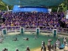 โครงการศึกษานอกสถานที่ ระดับชั้นประถมศึกษาปีที่ 4 &quot;ตะลุยดินแ ... Image 124