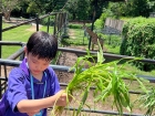 โครงการศึกษานอกสถานที่ ระดับชั้นประถมศึกษาปีที่ 4 &quot;ตะลุยดินแ ... Image 146