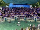 โครงการศึกษานอกสถานที่ ระดับชั้นประถมศึกษาปีที่ 4 &quot;ตะลุยดินแ ... Image 127