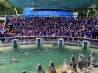 โครงการศึกษานอกสถานที่ ระดับชั้นประถมศึกษาปีที่ 4 &quot;ตะลุยดินแ ... Image 128