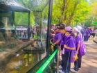 โครงการศึกษานอกสถานที่ ระดับชั้นประถมศึกษาปีที่ 4 &quot;ตะลุยดินแ ... Image 183