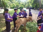 โครงการศึกษานอกสถานที่ ระดับชั้นประถมศึกษาปีที่ 4 &quot;ตะลุยดินแ ... Image 62