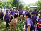 โครงการศึกษานอกสถานที่ ระดับชั้นประถมศึกษาปีที่ 4 &quot;ตะลุยดินแ ... Image 63