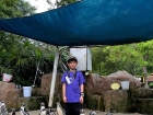 โครงการศึกษานอกสถานที่ ระดับชั้นประถมศึกษาปีที่ 4 &quot;ตะลุยดินแ ... Image 121