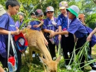 โครงการศึกษานอกสถานที่ ระดับชั้นประถมศึกษาปีที่ 4 &quot;ตะลุยดินแ ... Image 70
