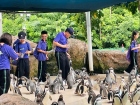 โครงการศึกษานอกสถานที่ ระดับชั้นประถมศึกษาปีที่ 4 &quot;ตะลุยดินแ ... Image 123
