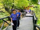 โครงการศึกษานอกสถานที่ ระดับชั้นประถมศึกษาปีที่ 4 &quot;ตะลุยดินแ ... Image 217