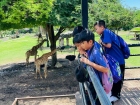 โครงการศึกษานอกสถานที่ ระดับชั้นประถมศึกษาปีที่ 4 &quot;ตะลุยดินแ ... Image 221