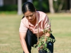 กิจกรรมปลูกต้นไม้ เนื่องในโอกาสวันคล้ายวันพระราชสมภพ พระบาทส ... Image 10