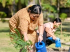 กิจกรรมปลูกต้นไม้ เนื่องในโอกาสวันคล้ายวันพระราชสมภพ พระบาทส ... Image 17