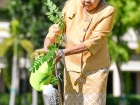 กิจกรรมปลูกต้นไม้ เนื่องในโอกาสวันคล้ายวันพระราชสมภพ พระบาทส ... Image 27