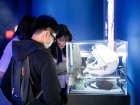 โครงการการศึกษานอกสถานที่ ระดับชั้นม.6 มารยาทการรับประทานอาห ... Image 262