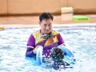 ประเมินผลกิจกรรมส่งเสริมความถนัดฯ ภาคปลาย ปีการศึกษา 2567 Image 457