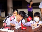 โครงการนวัตกรน้อย ปีการศึกษา 2567 Image 35