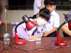 โครงการนวัตกรน้อย ปีการศึกษา 2567 Image 37