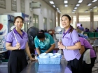 การจำหน่ายหนังสือแบบเรียน และอุปกรณ์การเรียน ปีการศึกษา 2568 Image 83