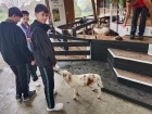 โครงการเรียนภาษาอังกฤษแบบเข้ม ณ Wentworth College &amp; Primary, ... Image 177